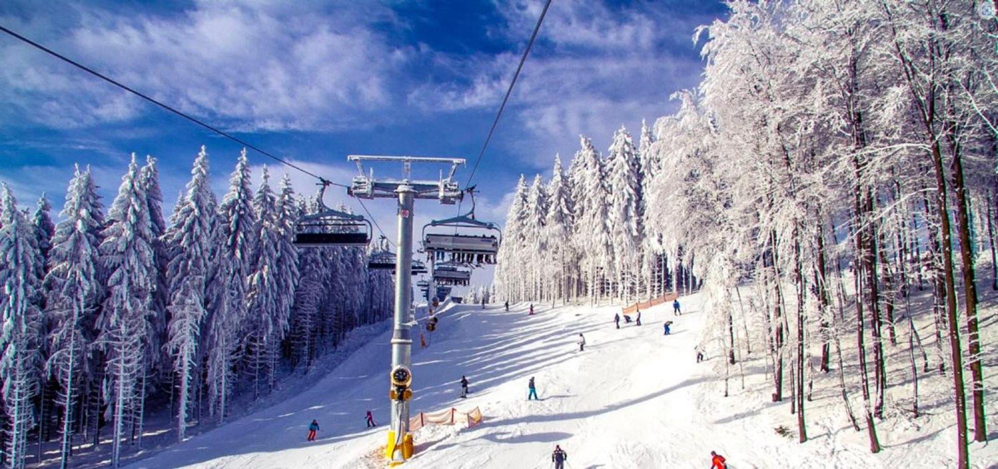 Alpen Appartement Winterberg Dış mekan fotoğraf