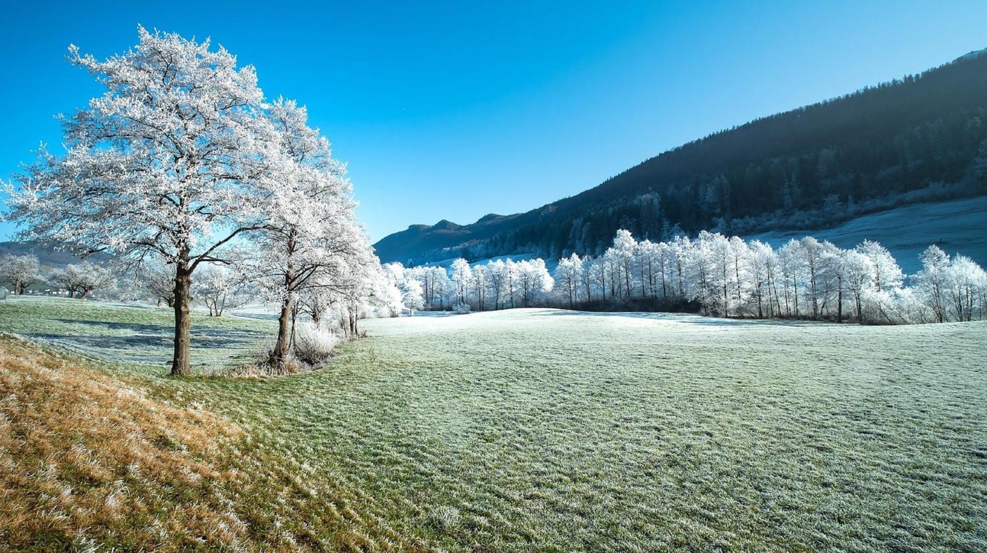 Alpen Appartement Winterberg Dış mekan fotoğraf